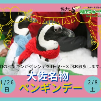 希少なビンテージskjode ペンギン AWABEES / ☆ペンギン Stig Lindberg ビンテージオブジェ 1950's